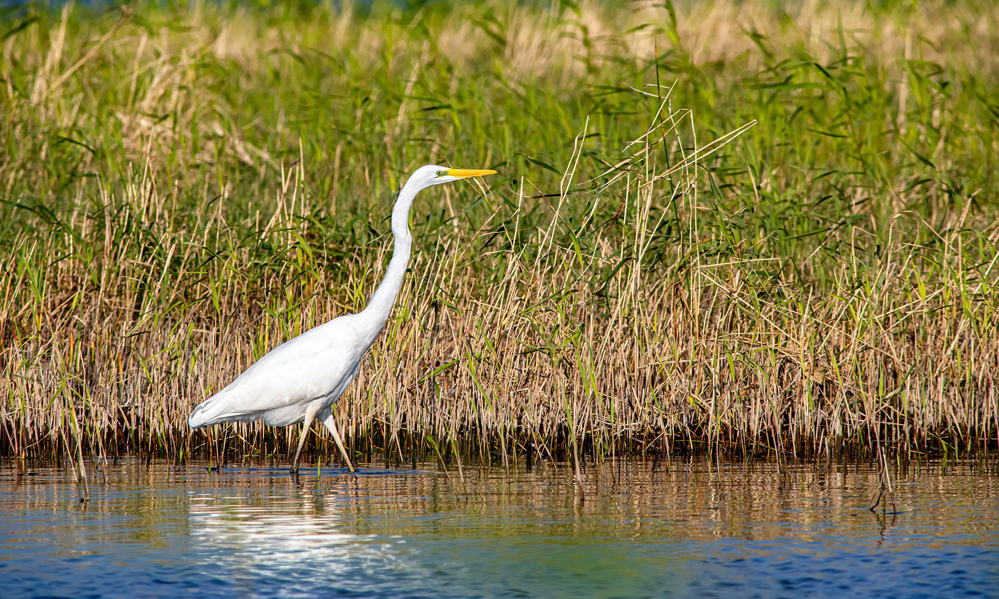 Our Climate Alliance Our Climate Alliance